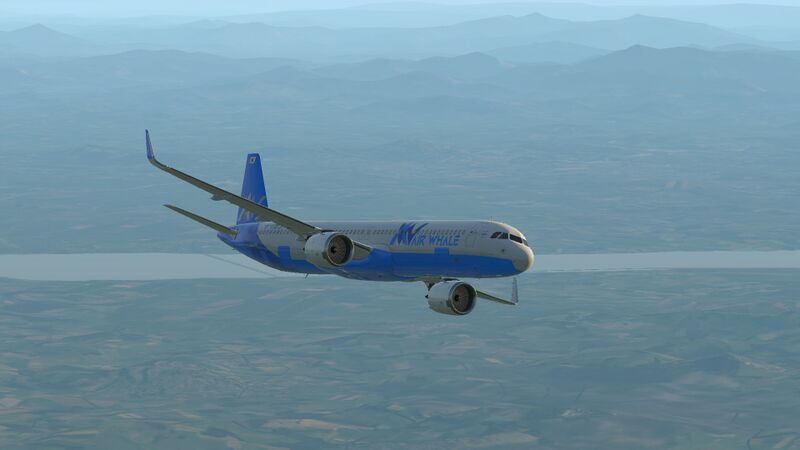 파일:AIRWHALE FLIGHT.jpeg